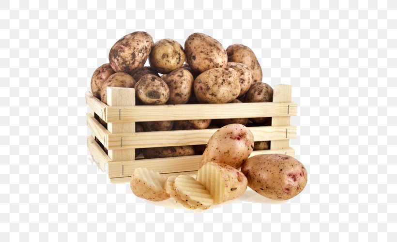 Russet Burbank Vegetable Fruit Food Radish, PNG, 500x500px, Russet Burbank, Apple, Auglis, Berry, Bildtstar Download Free