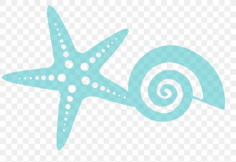 Starfish Marine Invertebrates Echinoderm Sea, PNG, 1043x717px, Starfish, Animal, Aqua, Blue, Drawing Download Free