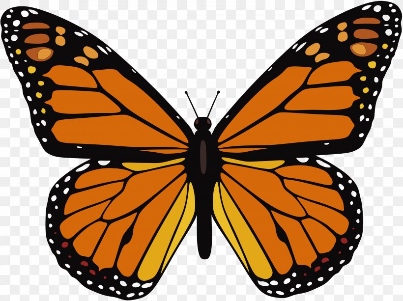 The Monarch Butterfly Insect Clip Art, PNG, 3840x2872px, Butterfly, Animal, Animal Migration, Arthropod, Brush Footed Butterfly Download Free