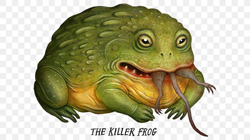 American Bullfrog Toad Amphibian Tree Frog, PNG, 600x460px, American Bullfrog, American Water Frogs, Amphibian, Box Turtles, Bullfrog Download Free