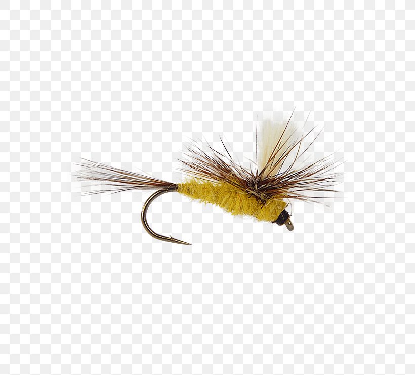 Artificial Fly Fly Fishing Nymph Stoneflies Fishing Rods, PNG, 555x741px, Artificial Fly, Angling, Bamboo Fly Rod, Fishing, Fishing Bait Download Free