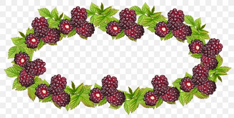 Boysenberry Berries Jam Fruit Raspberry, PNG, 960x485px, Boysenberry, Berries, Berry, Blackberry, Can Download Free
