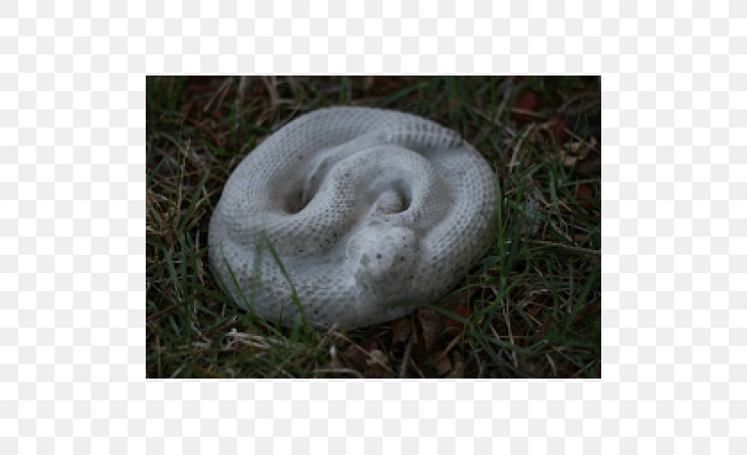 Concrete Snakes Statue Concrete Snakes Stone Carving, PNG, 500x500px, Snake, Carving, Com, Concrete, Fauna Download Free