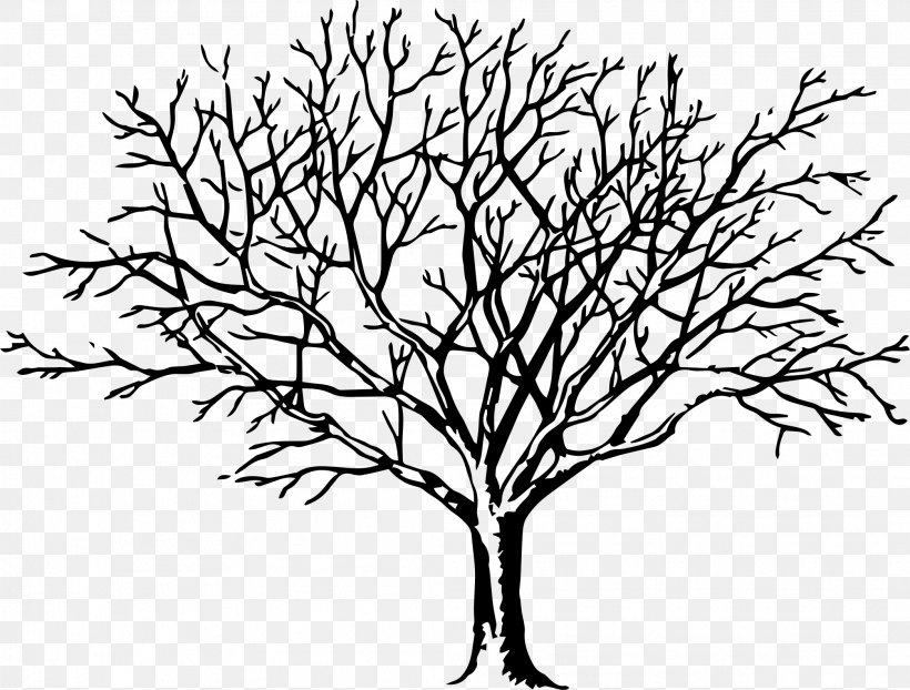 Tree Branch Clip Art, PNG, 2092x1588px, Tree, Art, Artwork, Black And White, Branch Download Free