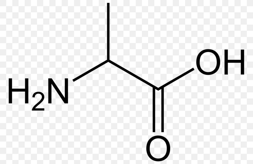 Amino Acid Glycine Carboxylic Acid Amine, PNG, 800x533px, 1pyrroline5carboxylic Acid, Acid, Acetic Acid, Amine, Amino Acid Download Free