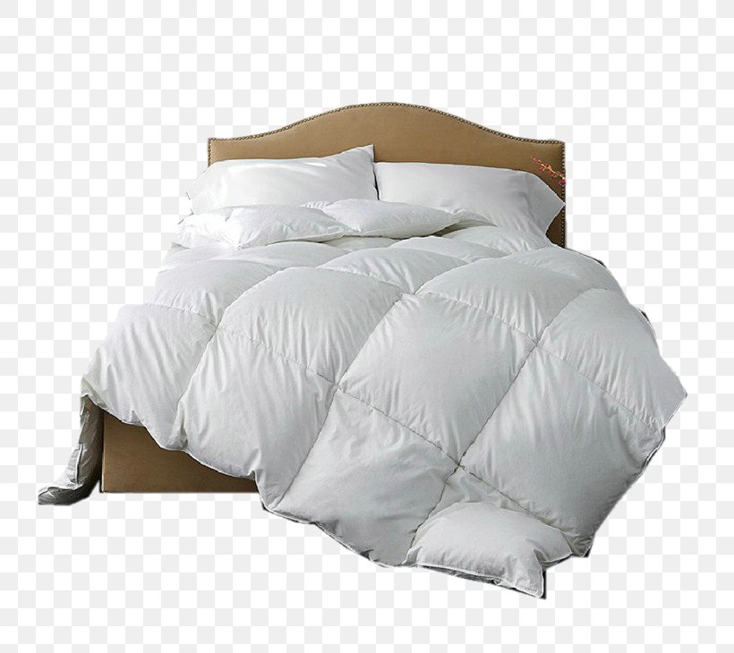 Down Feather Pillow Duvet Comforter Png 736x730px Down Feather