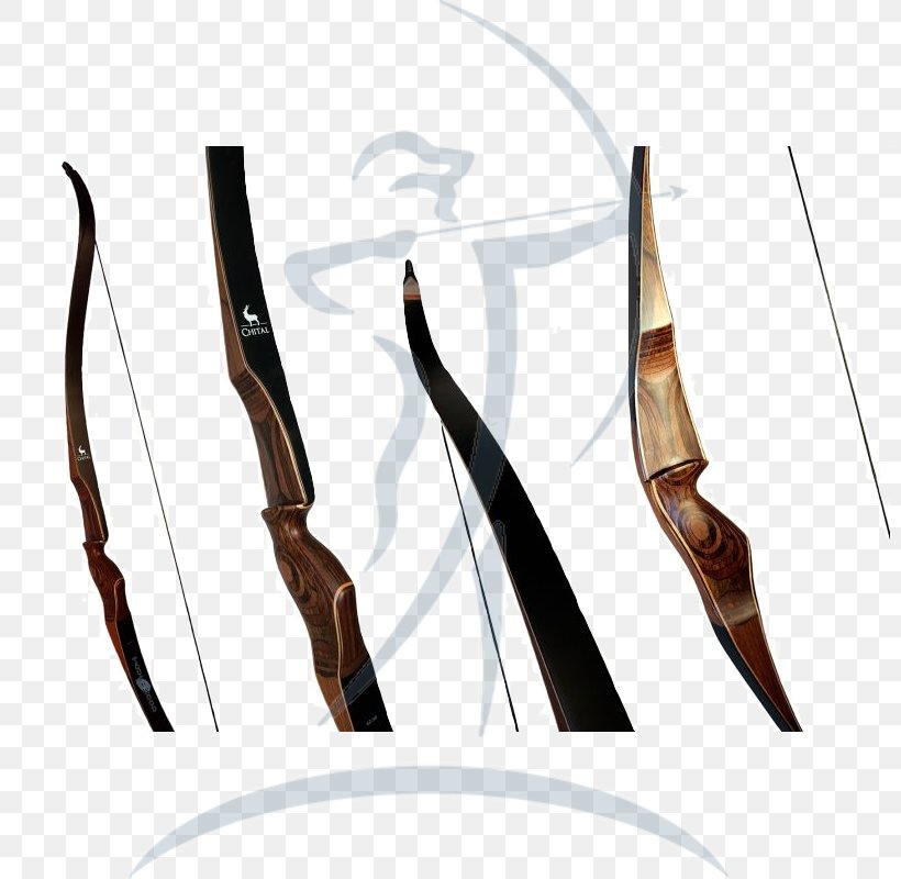 Longbow Hunting Bow And Arrow Compound Bows, PNG, 800x800px, Longbow, Archery, Bow, Bow And Arrow, Bushnell Corporation Download Free