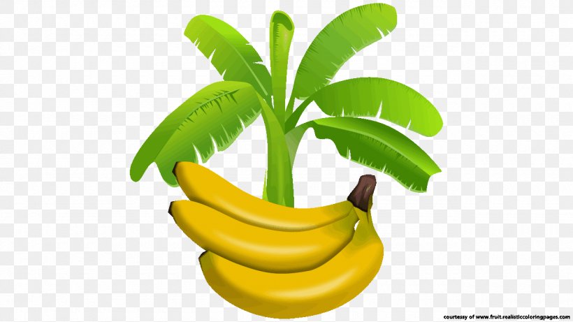 Banana Leaf Food Clip Art, PNG, 1280x720px, Banana, Banana Family, Banana Leaf, Diet Food, Drawing Download Free