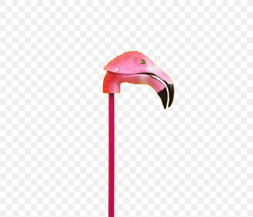 Flamingo Bird Pink, PNG, 500x702px, Flamingo, Beak, Bird, Flamingos, Gratis Download Free