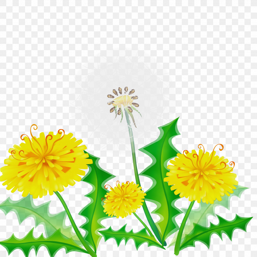 Flower Yellow Dandelion Plant Dandelion, PNG, 3000x3000px, Watercolor, Chamomile, Daisy Family, Dandelion, English Marigold Download Free