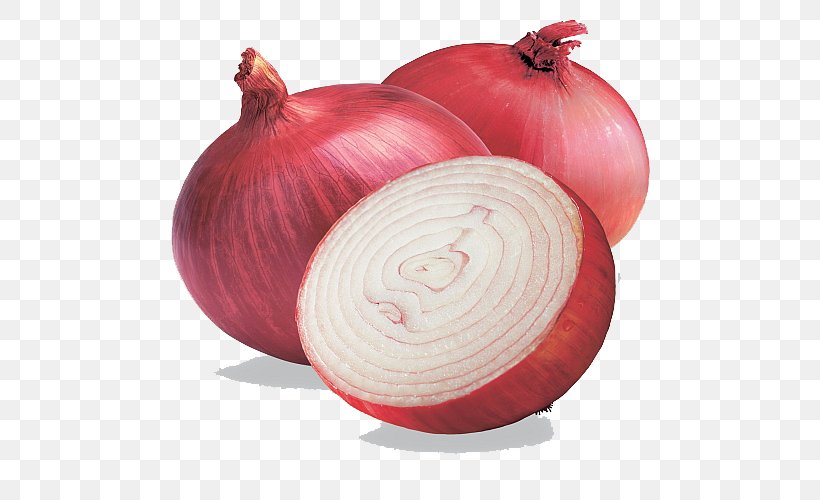 India Red Onion Shallot Organic Food White Onion, PNG, 550x500px, Onion, Allium, Flavor, Food, Garlic Download Free