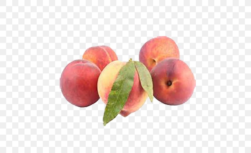 Peach Image File Formats Clip Art, PNG, 500x500px, Peach, Apple, Apricot, Auglis, Diet Food Download Free