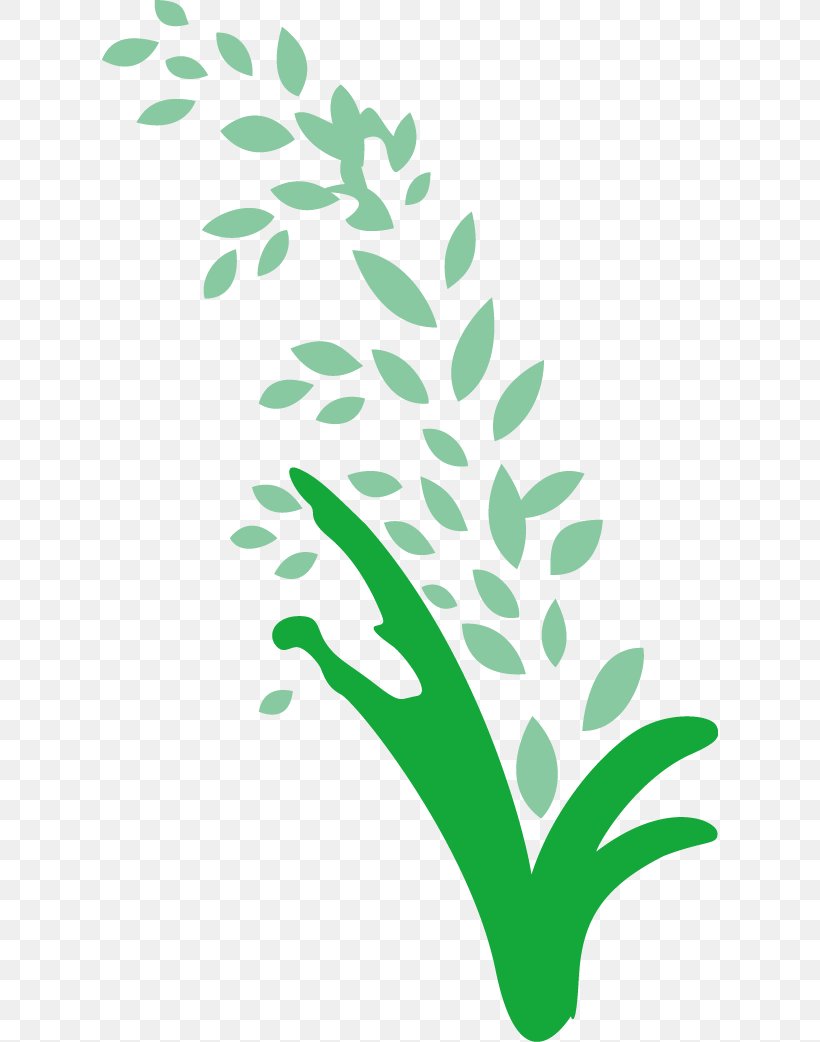 Rice Gadu Paddy Field Gratis, PNG, 616x1042px, Rice Gadu, Branch, Concepteur, Flora, Flower Download Free