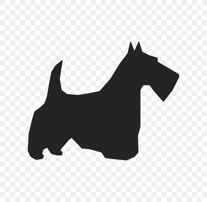 Scottish Terrier American Pit Bull Terrier Boston Terrier, PNG, 800x800px, Scottish Terrier, American Pit Bull Terrier, Beagle, Black, Black And White Download Free