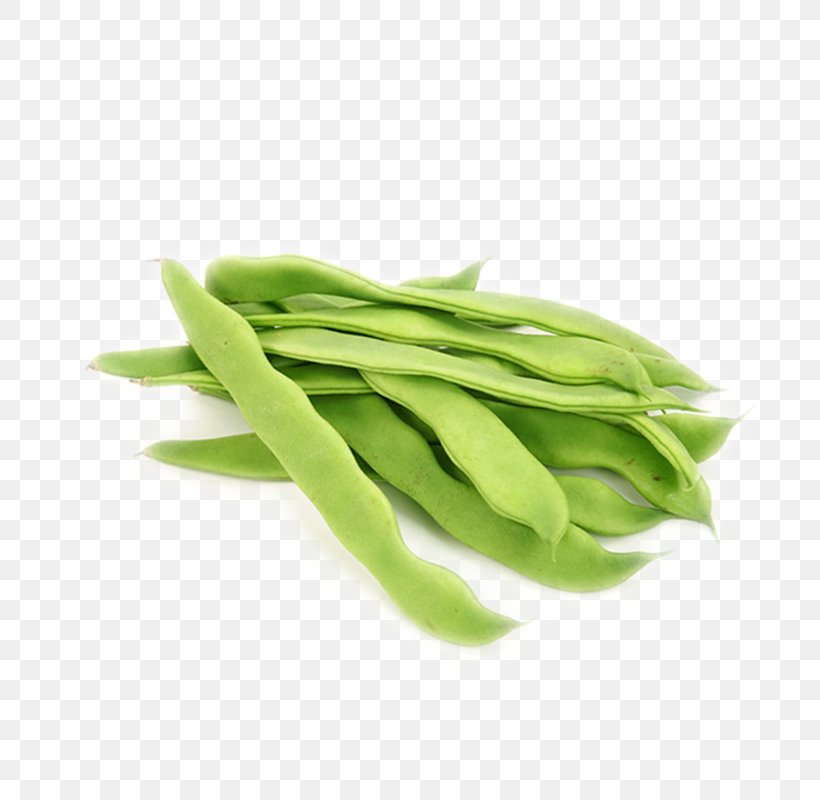 Snow Pea Vegetable Green Bean Fruit, PNG, 800x800px, Snow Pea, Bean, Bell Pepper, Cabbage, Commodity Download Free
