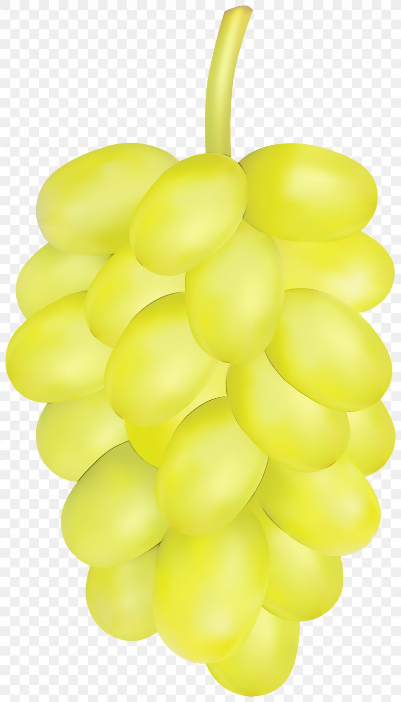 Watercolor Plant, PNG, 1714x3000px, Watercolor, Food, Fruit, Grape, Grapevine Family Download Free