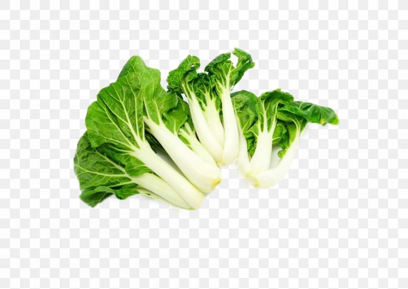 Chinese Cabbage Romaine Lettuce Napa Cabbage Leaf Vegetable, PNG, 1000x710px, Chinese Cabbage, Cabbage, Chard, Choy Sum, Collard Greens Download Free