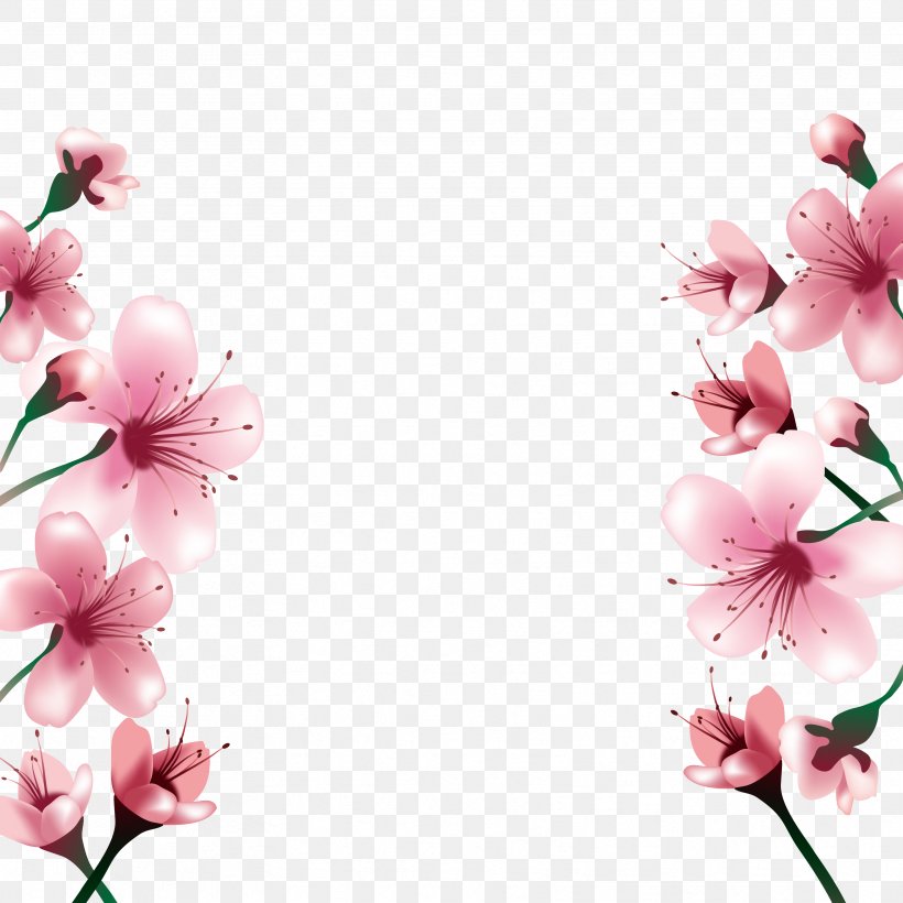 National Cherry Blossom Festival Paper, PNG, 3333x3333px, Cherry Blossom, Blossom, Branch, Cherry, Flora Download Free