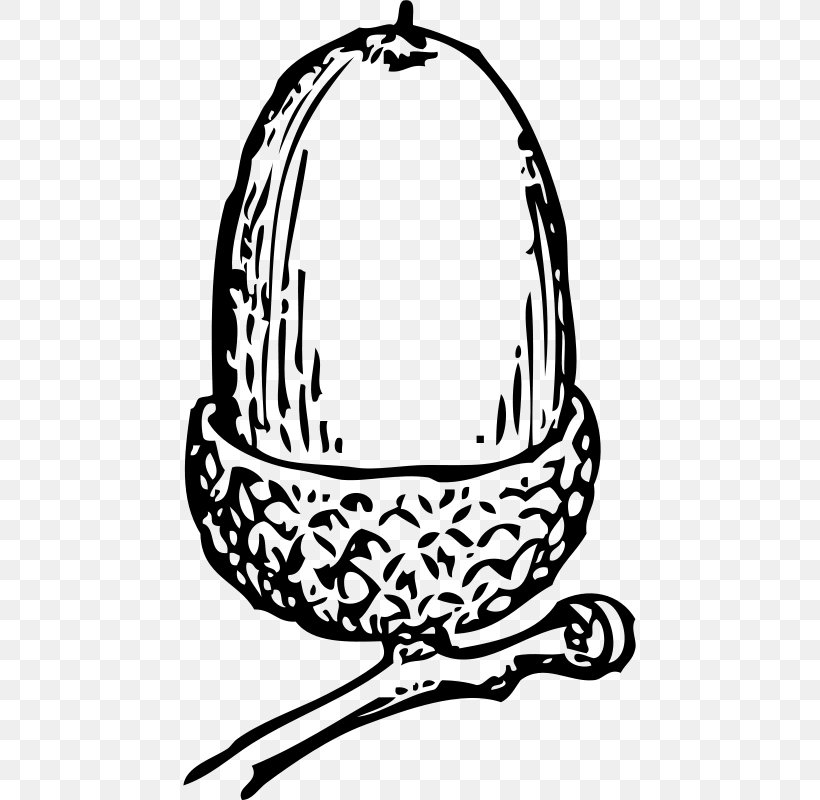 Acorn Download Clip Art, PNG, 453x800px, Acorn, Art, Black And White, Drawing, Hat Download Free