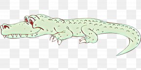 Crocodile Alligators Line Art Amphibians Fauna PNG