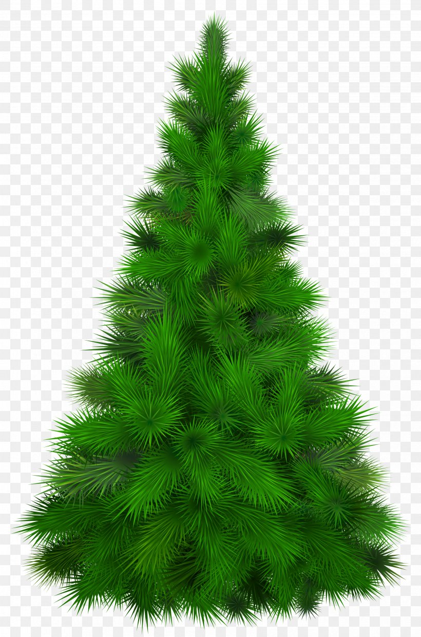 Mediterranean Cypress Pine Tree Clip Art, PNG, 3371x5098px, Mediterranean Cypress, Biome, Cdr, Christmas Decoration, Christmas Ornament Download Free