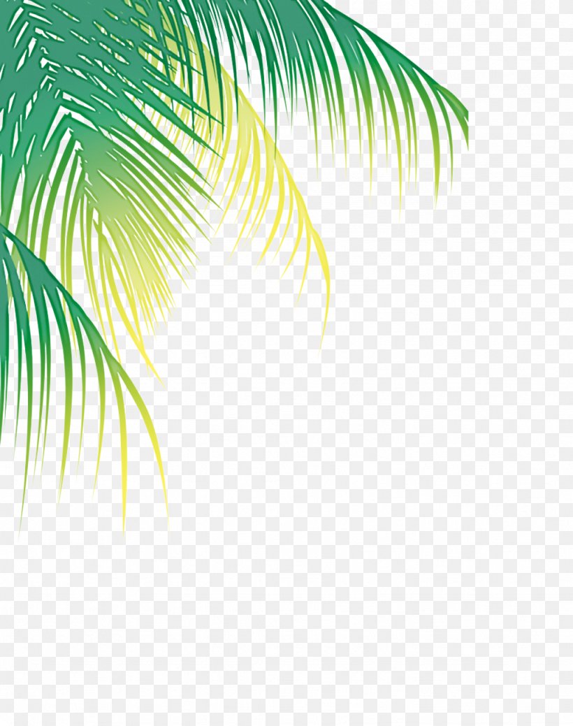 Palm Tree, PNG, 1024x1298px, Green, Arecales, Elaeis, Leaf, Palm Tree Download Free