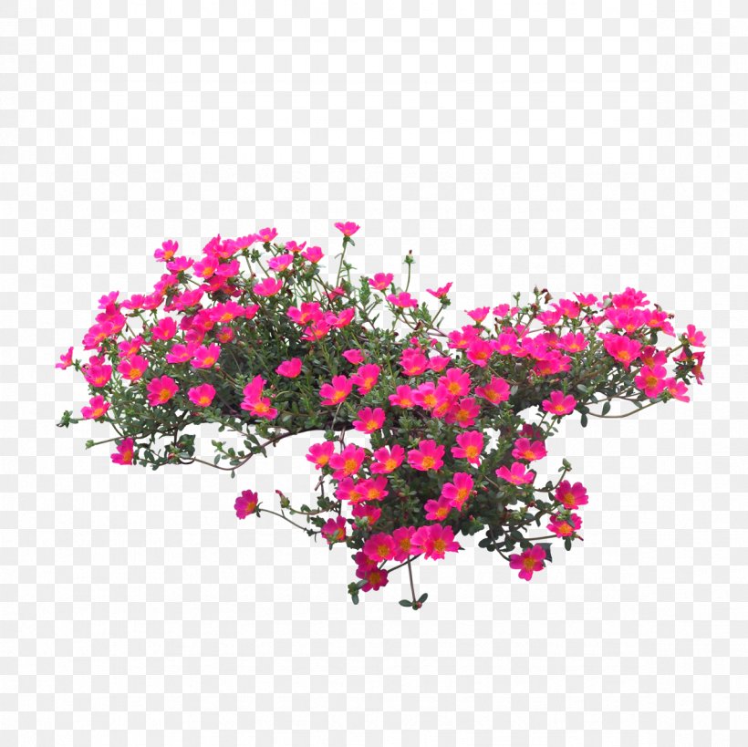 Flower Image Design Clip Art, PNG, 1181x1181px, Flower, Annual Plant, Blossom, Bougainvillea, Bouquet Download Free