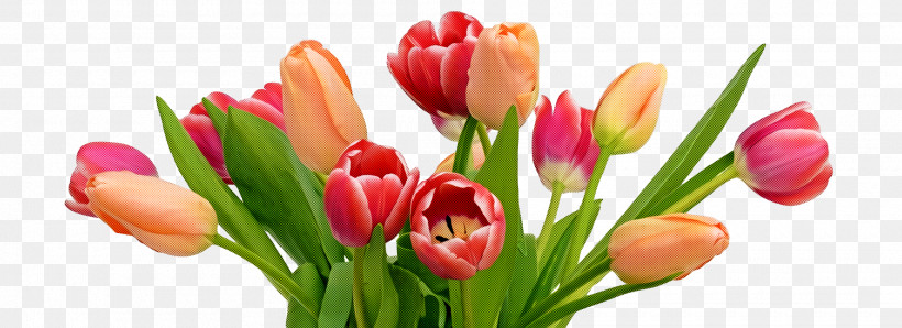 Spring Flower Spring Floral Flowers, PNG, 1920x700px, Spring Flower, Artificial Flower, Bouquet, Bud, Crocus Download Free