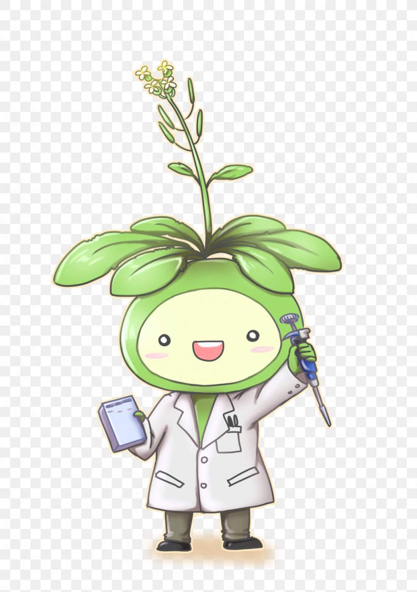 Thale Cress Genome Botany Plants Clip Art, PNG, 1024x1454px, Thale Cress, Botany, Cartoon, Drawing, Fictional Character Download Free