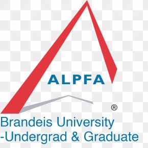 United States - United States Association Of Latino Professionals In Finance And Accounting Organization PNG