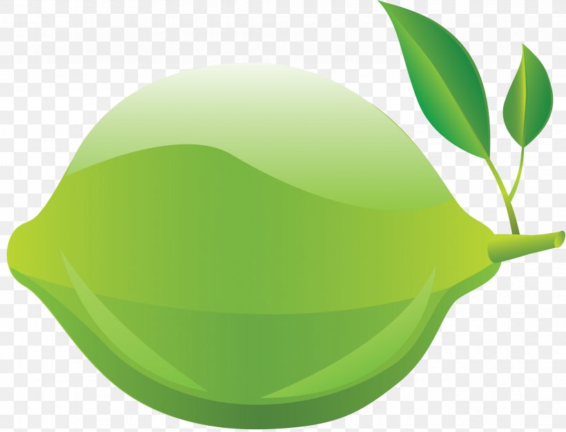 Clip Art Transparency Desktop Wallpaper Lime, PNG, 3877x2957px, Lime, Display Resolution, Food, Fruit, Green Download Free