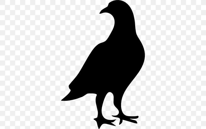 Columbidae Bird Domestic Pigeon, PNG, 512x512px, Columbidae, Artwork, Beak, Bird, Bird Control Download Free