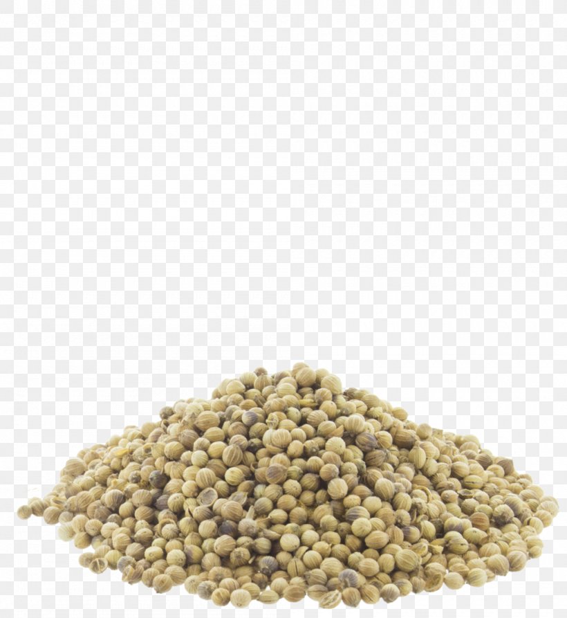 Coriander Seed Indian Cuisine Spice Food, PNG, 1000x1090px, Coriander, Bean, Commodity, Coriander Seed, Cumin Download Free