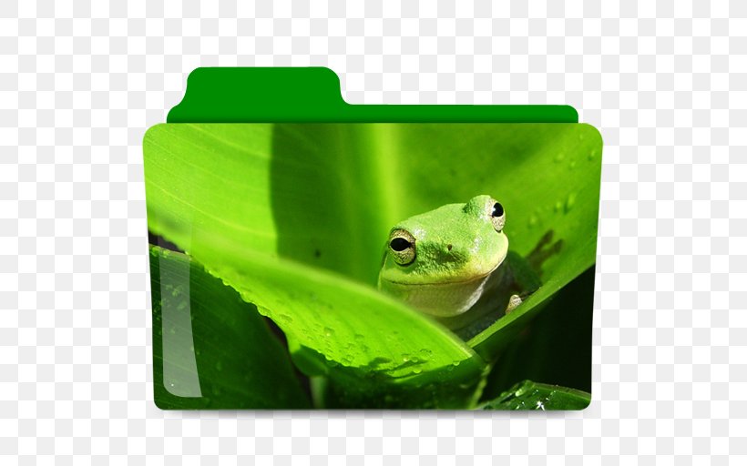 White-lipped Tree Frog Desktop Wallpaper Wallpaper, PNG, 512x512px, Frog, Amphibian, Animal, Australian Green Tree Frog, Digital Image Download Free