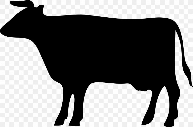 Beef Cattle Dairy Cattle Silhouette Clip Art, PNG, 2400x1586px, Beef Cattle, Black, Black And White, Bull, Cattle Download Free