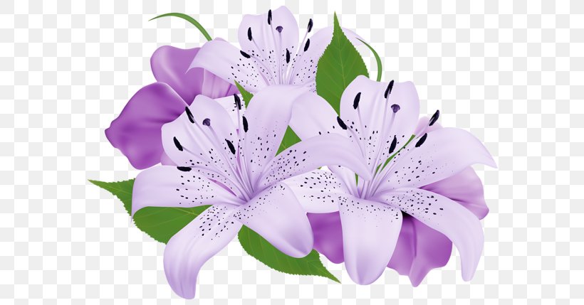 Clip Art Flower Bouquet Image Pink Flowers, PNG, 600x429px, Flower, Alstroemeriaceae, Cut Flowers, Drawing, Floral Design Download Free