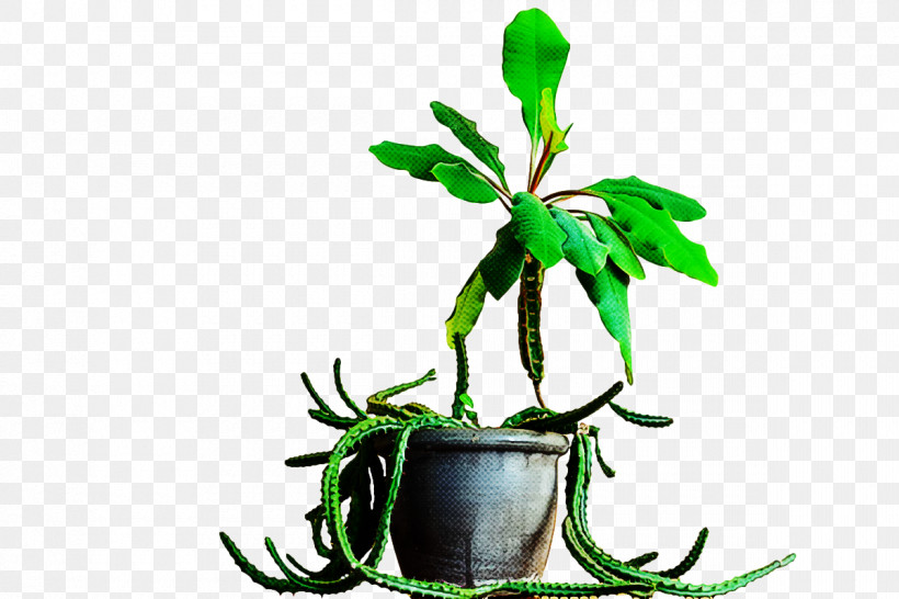 Plant Stem Leaf Flowerpot Flower Tree, PNG, 1200x800px, Plant Stem, Biology, Flower, Flowerpot, Leaf Download Free