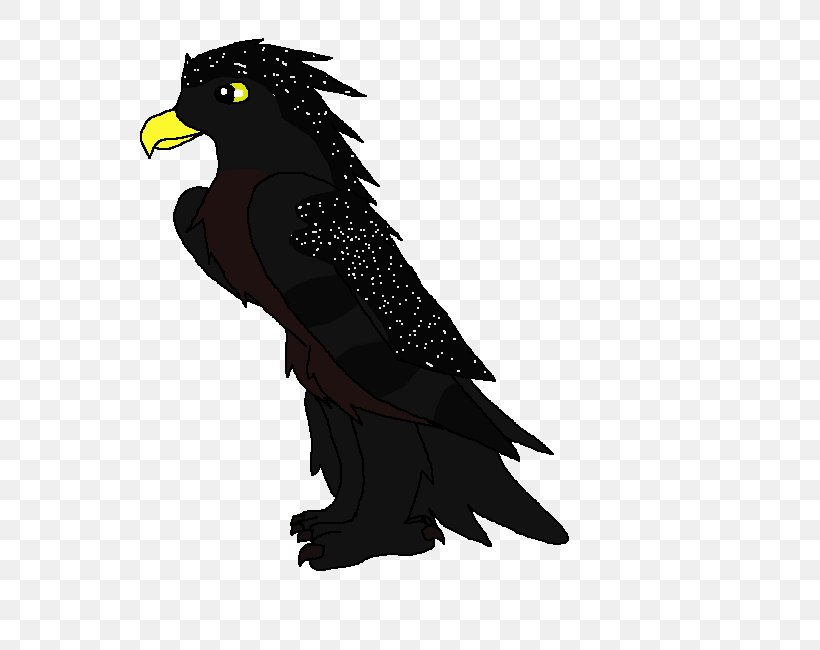Eagle Beak Feather, PNG, 800x650px, Eagle, Beak, Bird, Bird Of Prey, Feather Download Free