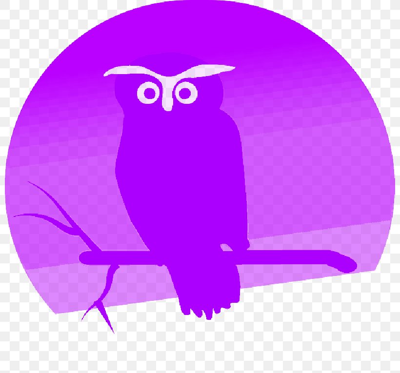 Owl Drawing Bird Clip Art Painting, PNG, 800x765px, Owl, Animal, Barn Owl, Bird, Bird Of Prey Download Free