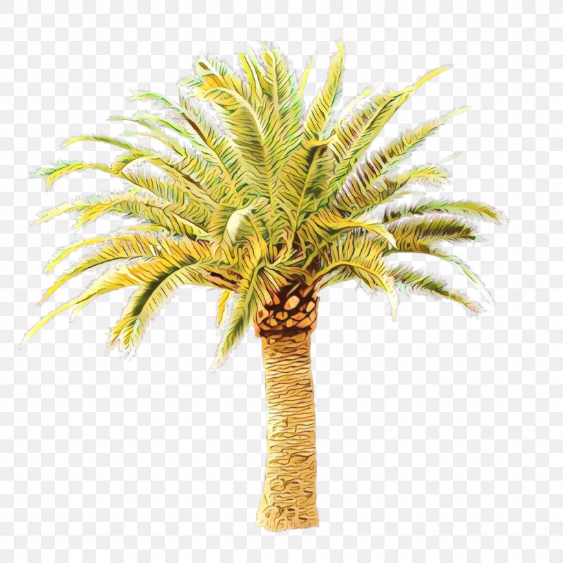 Palm Tree, PNG, 1024x1024px, Cartoon, Arecales, Attalea Speciosa, Date Palm, Elaeis Download Free