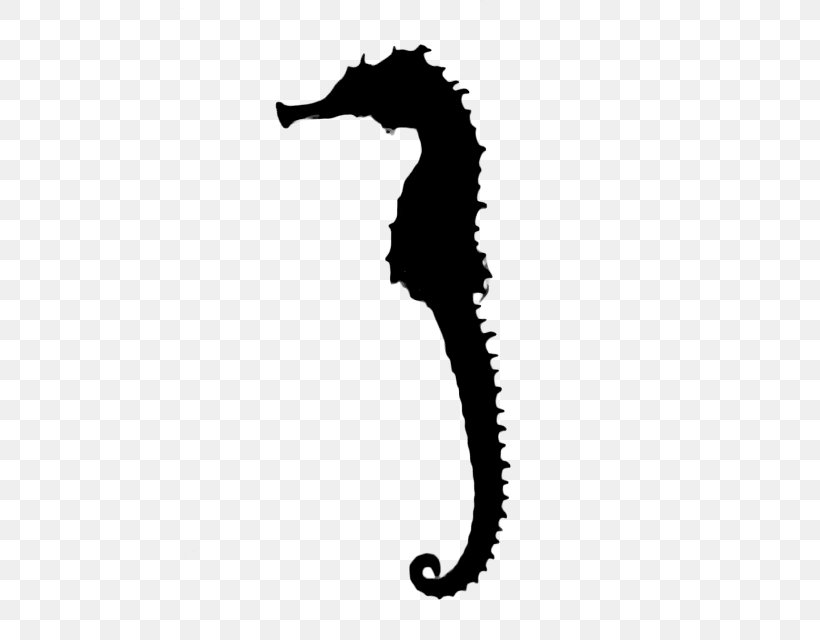 Seahorse Black & White, PNG, 480x640px, Seahorse, Black White M, Bonyfish, Fish, Northern Seahorse Download Free