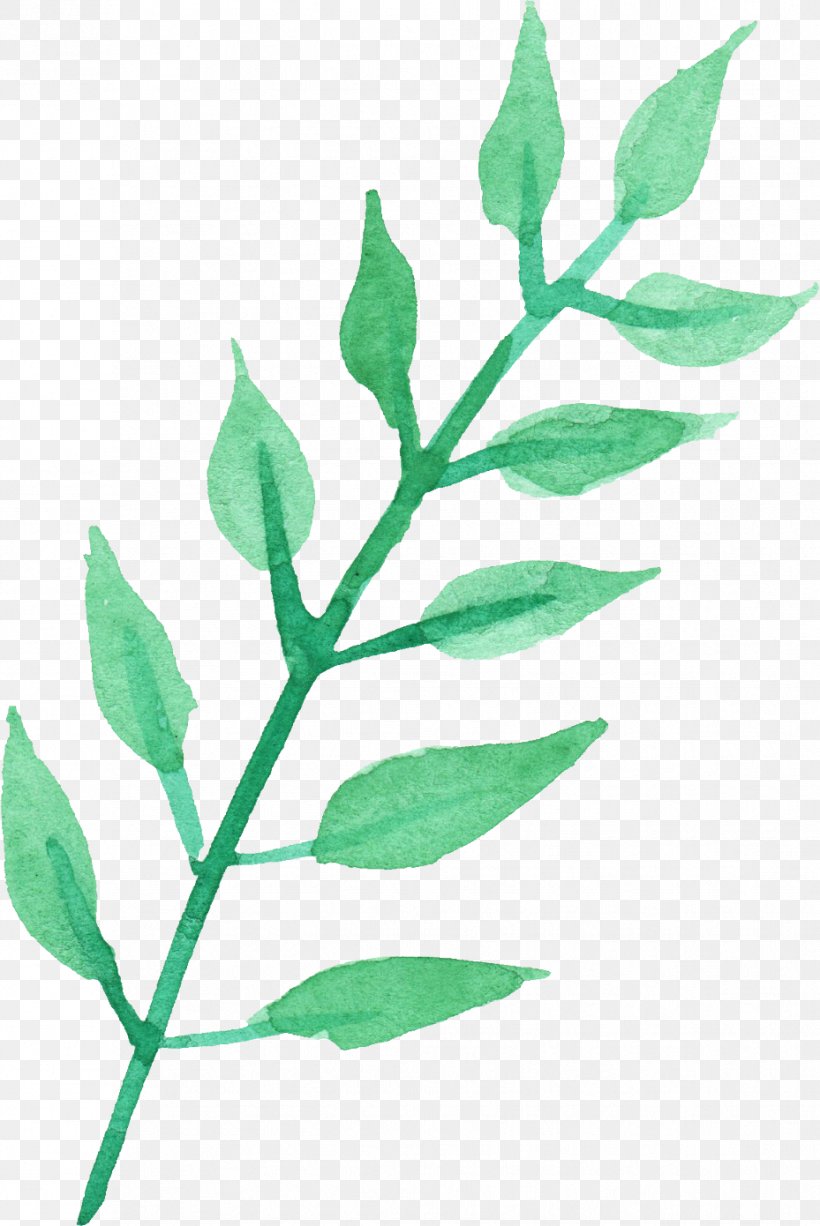 Transparent Watercolor Leaf Plant Stem Twig Watercolor Painting, PNG, 929x1390px, Transparent Watercolor, Branch, Drawing, Flower, Leaf Download Free