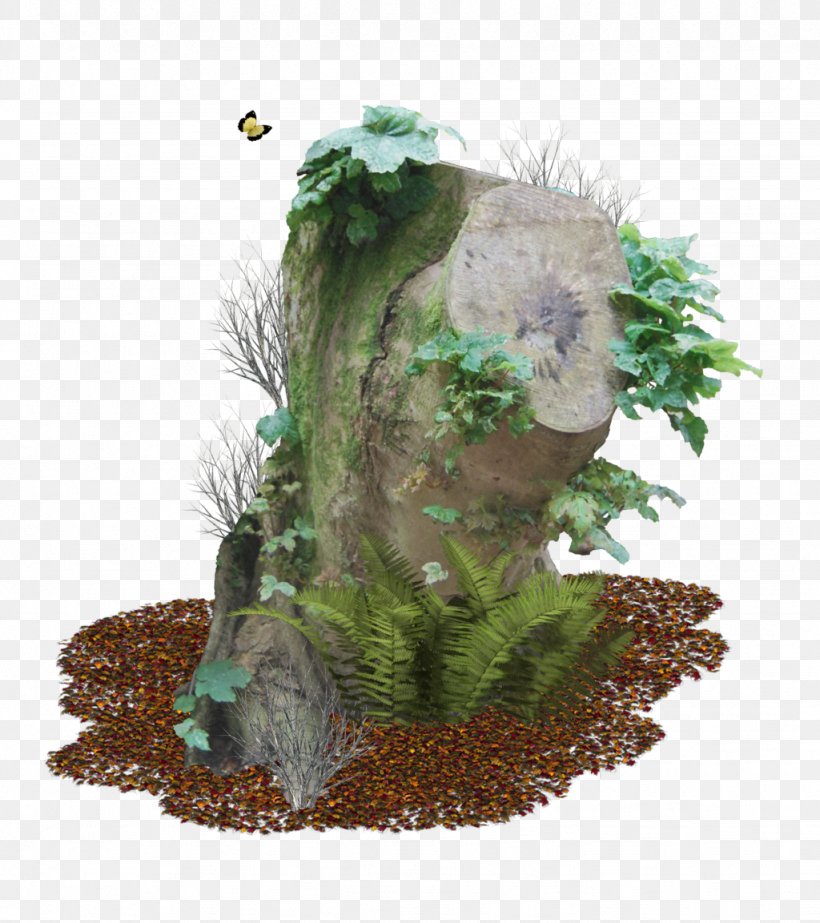 Tree Stump Trunk, PNG, 1024x1153px, Tree Stump, Deviantart, Drawing, Flowerpot, Grass Download Free