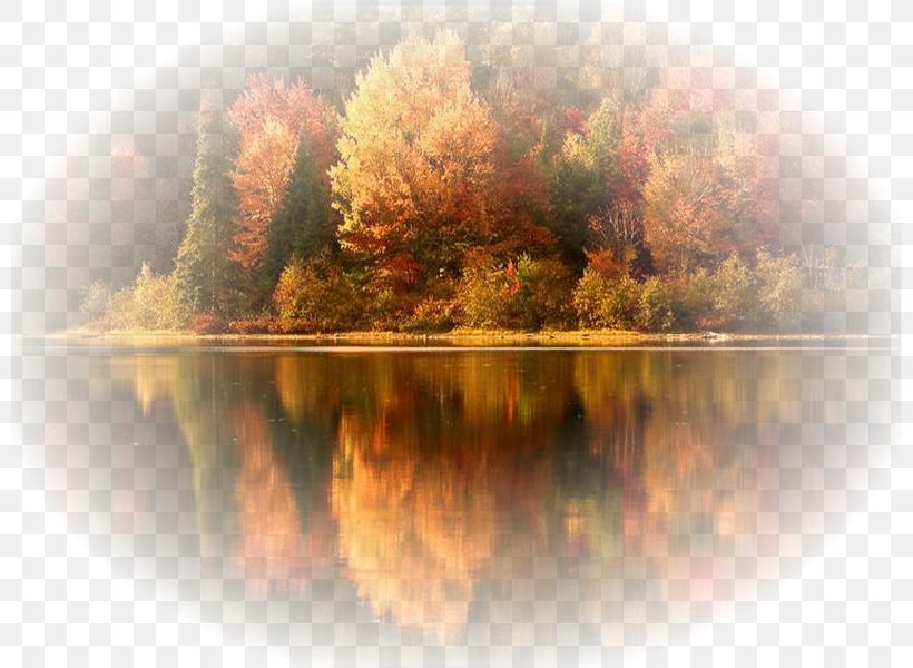 Autumn The Station Nightclub Fire Winter Season, PNG, 800x600px, Autumn, Beauty, Landscape, Month, Morning Download Free