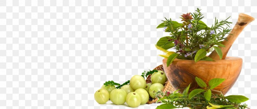 Ayurveda Herb Health Medicine Dietary Supplement, PNG, 1024x436px, Ayurveda, Abhyanga, Alternative Health Services, Detoxification, Diet Food Download Free