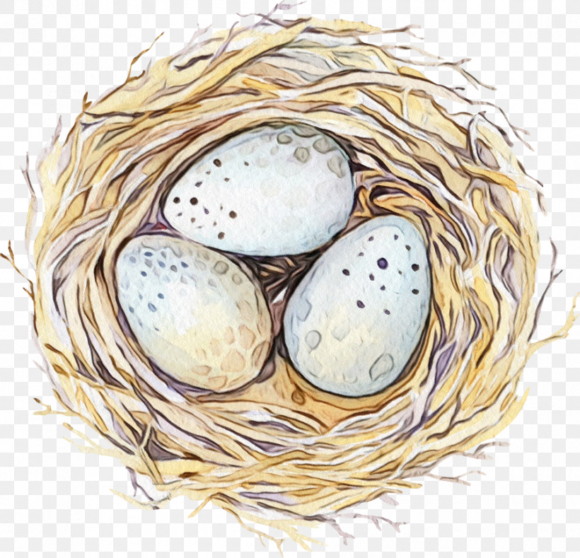 Egg, PNG, 900x867px, Watercolor, Bird Nest, Egg, Nest, Oval Download Free