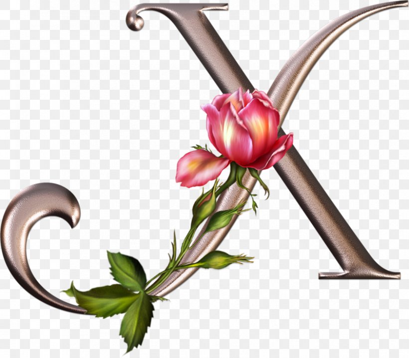 Floral Design Letter Alphabet Rose Flower, PNG, 841x737px, Floral Design, Alphabet, Branch, Bud, Calligraphy Download Free