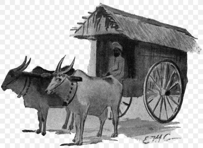Reindeer Chariot White, PNG, 1200x877px, Reindeer, Black And White, Cart, Cattle Like Mammal, Chariot Download Free