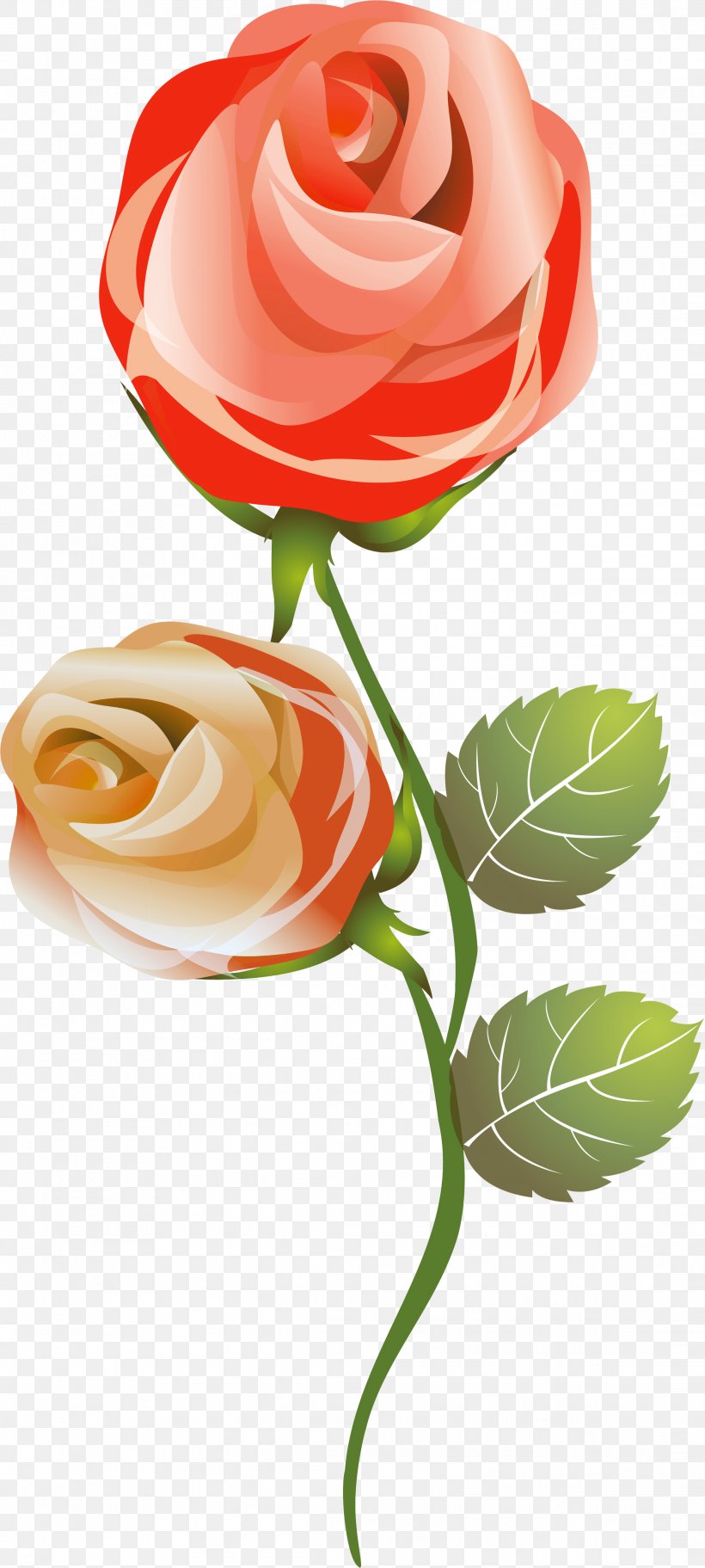 Garden Roses Love Cut Flowers, PNG, 2224x4945px, Rose, Cut Flowers, Family, Floral Design, Floristry Download Free