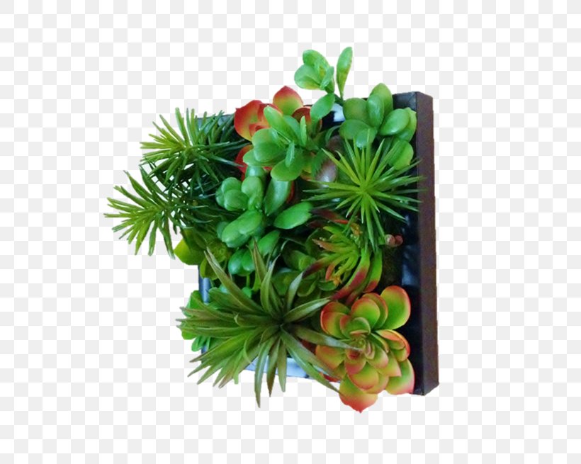 Green Wall Garden Flowerpot Succulent Plant, PNG, 620x655px, Green Wall, Art, Creativity, Flower, Flowerpot Download Free